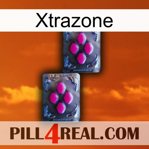 Xtrazone 01.jpg